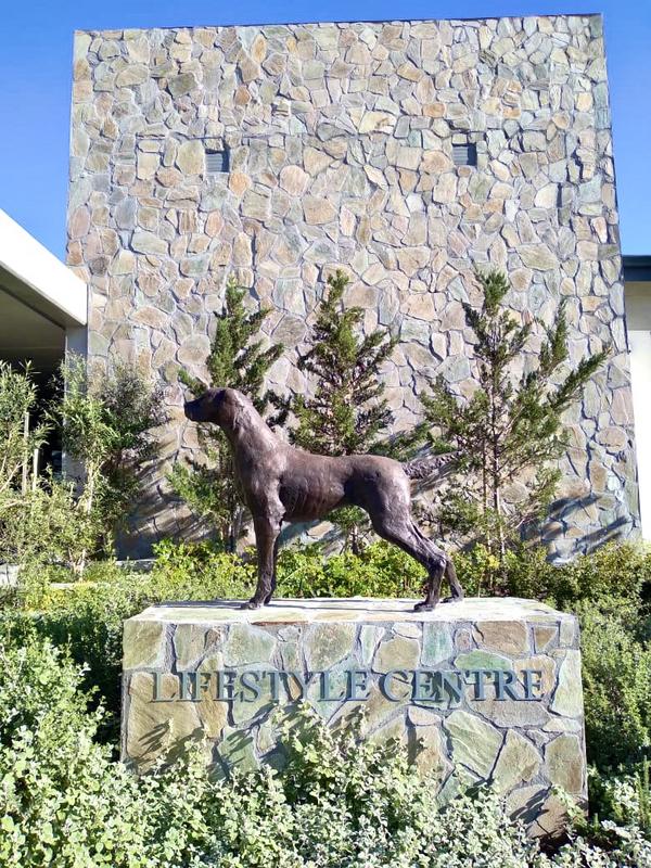 To Let 1 Bedroom Property for Rent in Somerset West Western Cape